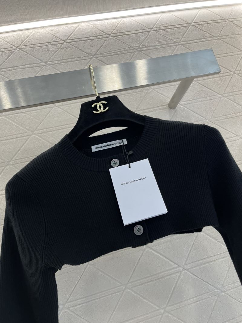 Alexander Wang Sweaters